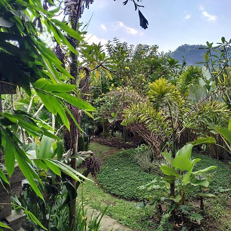 Kanda Homestay Sidemen  Exteriér fotografie